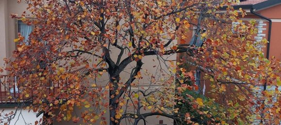 8-Zimmer Wohnung in Monsummano Terme, Italy, Nr. 131130 6