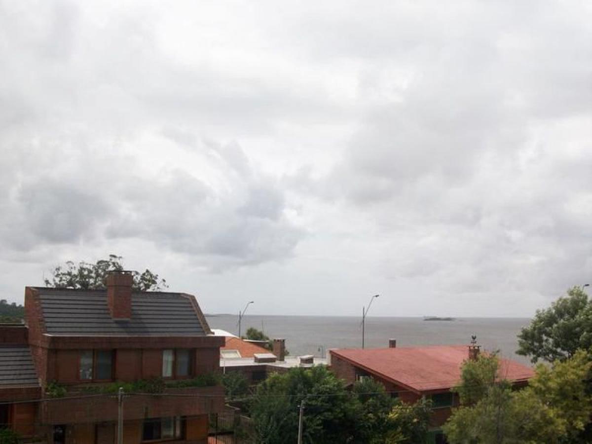 Studio in Colonia, Uruguay No. 1731