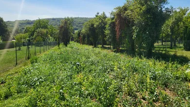 814m² Land in Edelstal, Austria No. 60093