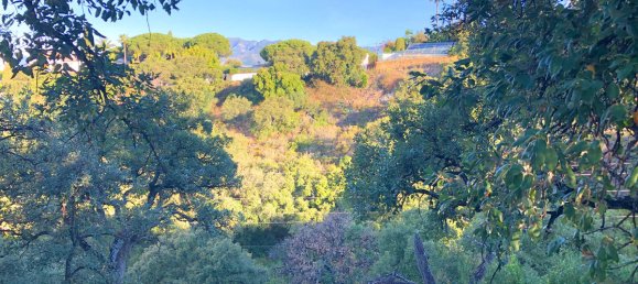  Land in Marbella, Spain No. 81293 5