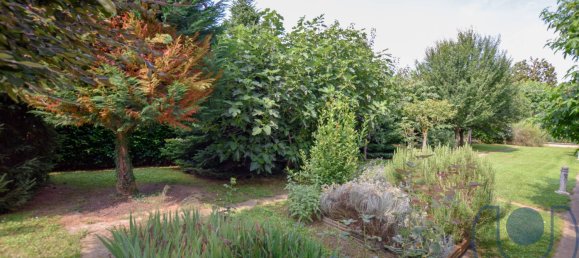 10 bedrooms Villa in Chieri, Italy No. 55299 45