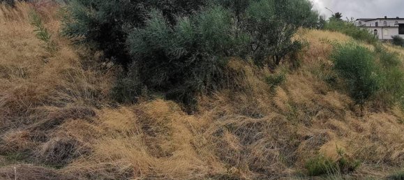  قطعة أرض في Montepaone, Italy 3000متر مربع رقم 85209 2