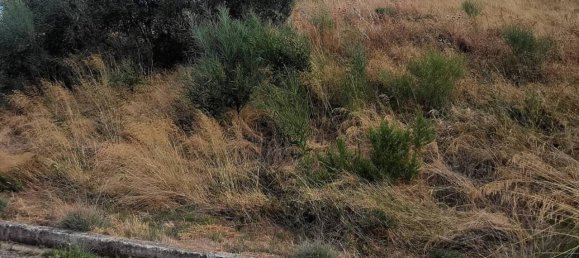  قطعة أرض في Montepaone, Italy 3000متر مربع رقم 85209 4