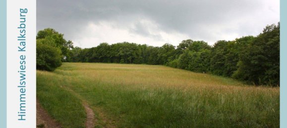 Земельный участок в Лизинг, Австрия № 151331 9