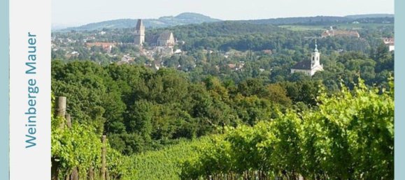 Земельный участок в Лизинг, Австрия № 151331 10