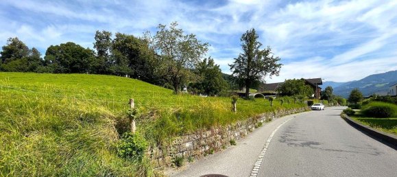 Terrain à Gofis, Austria No. 242422 9