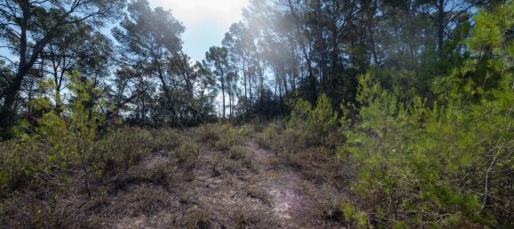 Casa de 3 dormitorios en Sineu, Spain No. 186535 11
