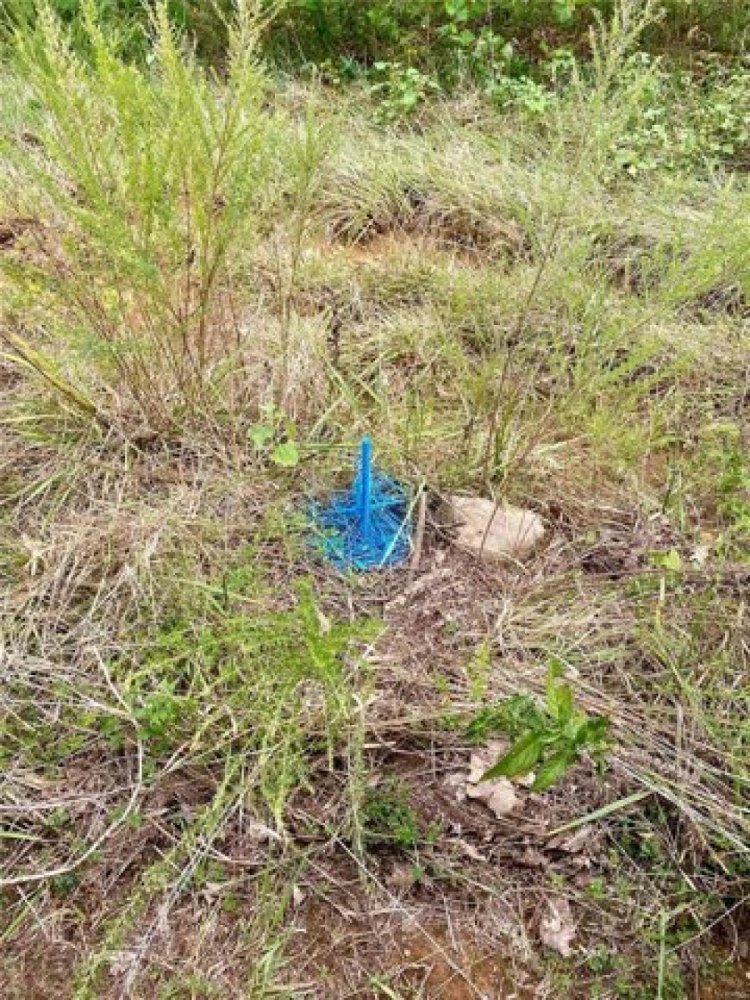  Land in Fredericktown, USA No. 477026