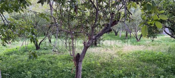 Земельный участок 2200м² в Джойоза Йоника, Италия № 343595 3