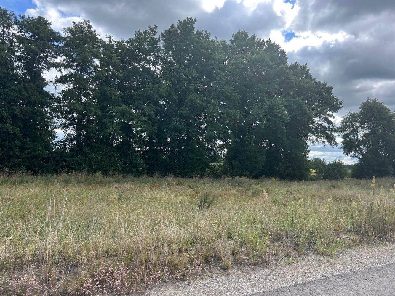  Land in Harburg, Germany No. 313720