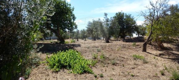 4 غرف نوم منزل في Mouriscas, Portugal رقم 29434 7