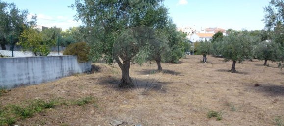 4 غرف نوم منزل في Mouriscas, Portugal رقم 29434 5