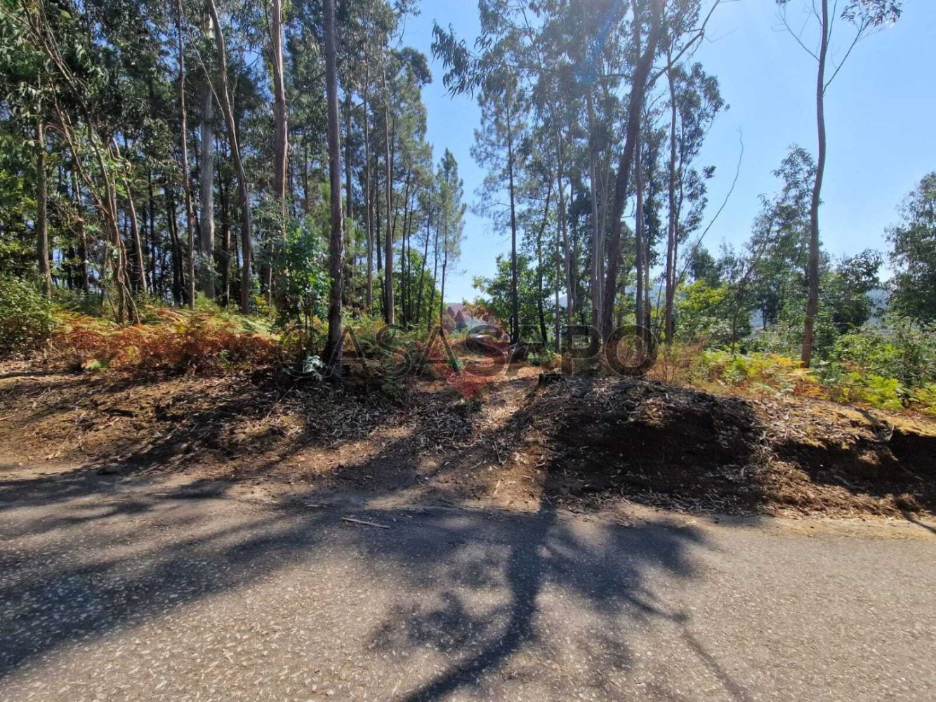  Land in Friestas, Portugal No. 328016