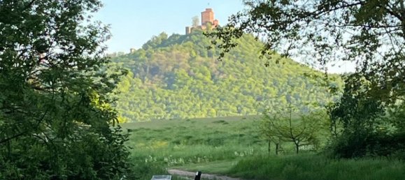 3 chambres Maison à Annweiler am Trifels, Germany No. 259556 17