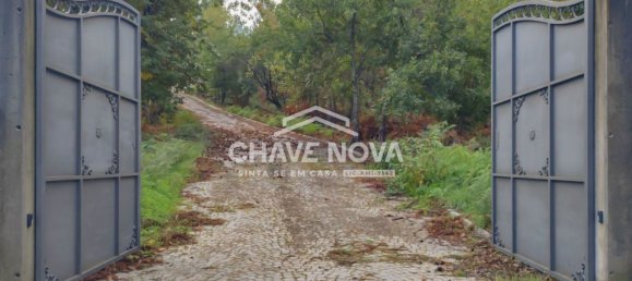 5 bedrooms House in Viseu, Portugal No. 31066 23