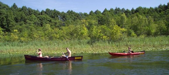1 Schlafzimmer Hotel in Mecklenburgische Seenplatte, Germany, Nr. 154034 6