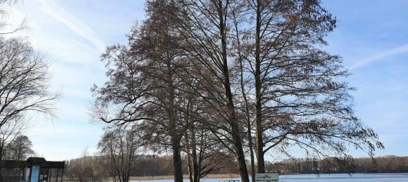 1 Schlafzimmer Hotel in Mecklenburgische Seenplatte, Germany, Nr. 154034 23