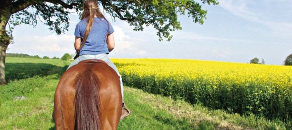 1 Schlafzimmer Hotel in Mecklenburgische Seenplatte, Germany, Nr. 154034 10