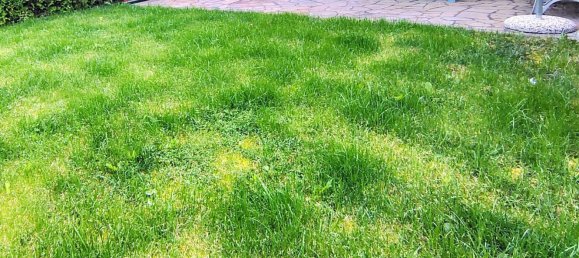 3-Zimmer Wohnung in Bedollo, Italy, Nr. 280026 4