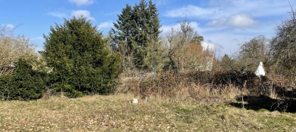 Дом с 5 спальнями в Бранденбург, Германия № 27599 11