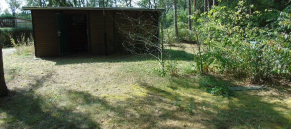 Studio in Rostock, Germany, Nr. 294843 9