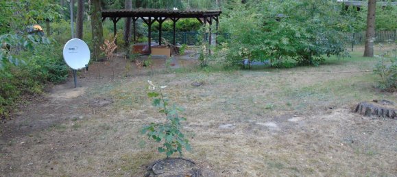 Studio in Rostock, Germany, Nr. 294843 4