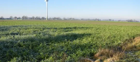 Grundstück in Kleve, Germany, Nr. 134728 8