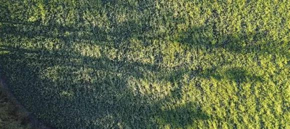 Grundstück in Kleve, Germany, Nr. 134728 6
