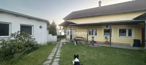 4 rooms House in Gross-Enzersdorf, Austria No. 159023 8