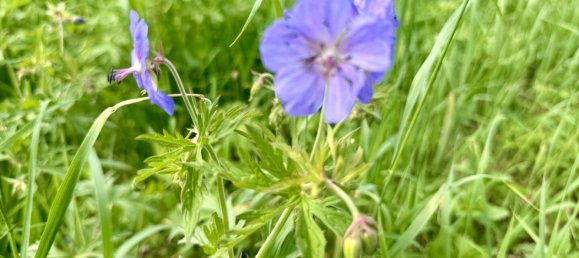 Terreno em Oberlienz, Austria N.º 126347 4