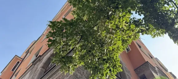 3 bedrooms Apartment in Nuremberg, Germany No. 316868 38