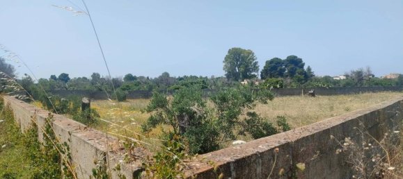 5000m² Land in Sannicola, Italy No. 122521 4