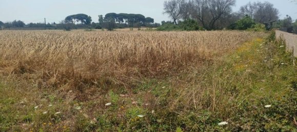 5000m² Land in Sannicola, Italy No. 122521 9