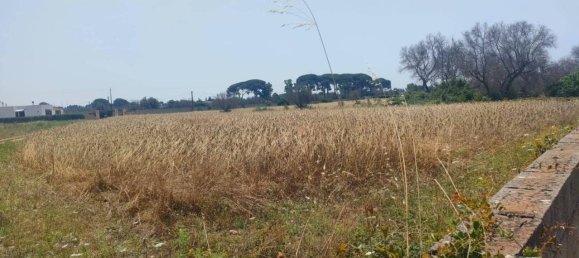 5000m² Land in Sannicola, Italy No. 122521 3