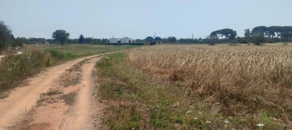 5000m² Land in Sannicola, Italy No. 122521 7