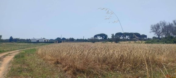 5000m² Land in Sannicola, Italy No. 122521 8