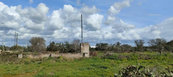 5000m² Land in Sannicola, Italy No. 122521 6
