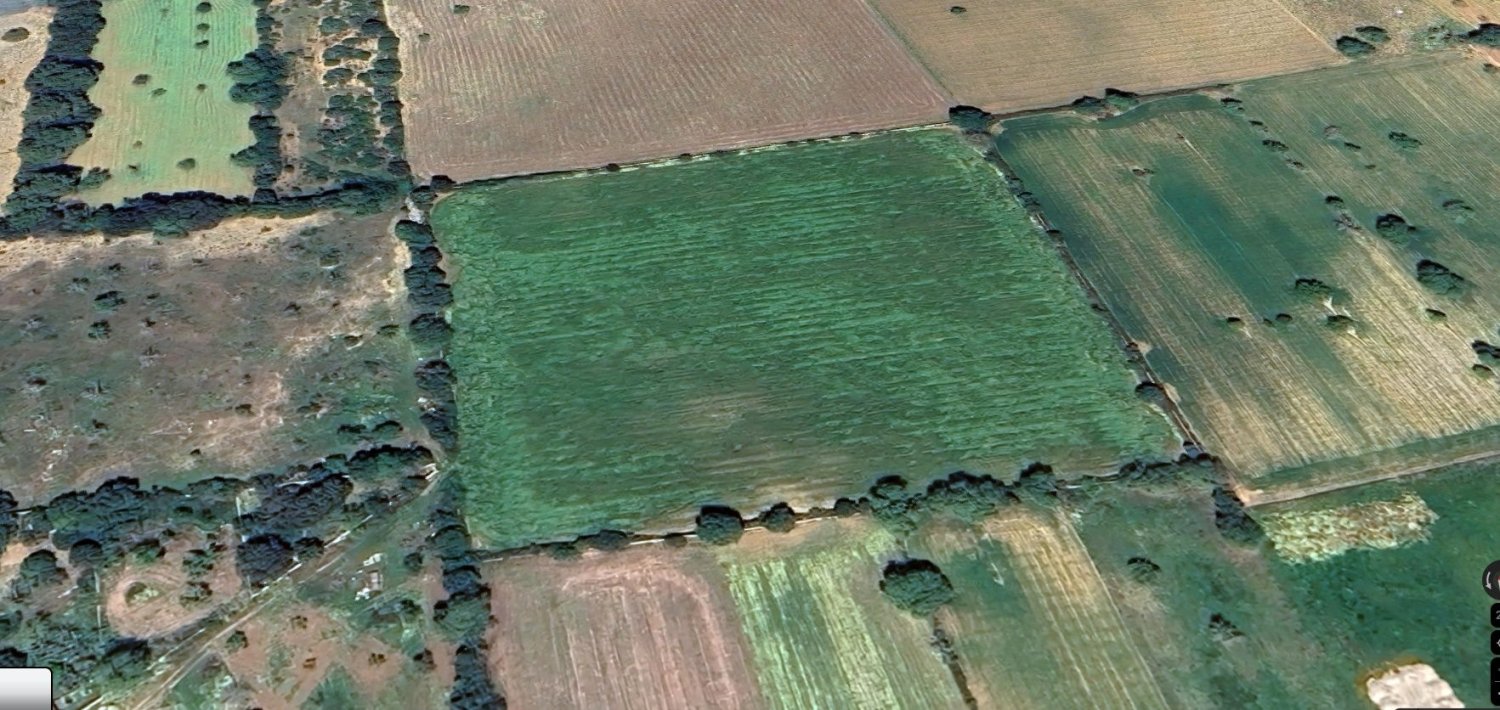  Land in Felanitx, Spain No. 168269