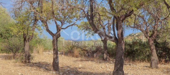 Terreno en Avola, Italy 400 m² No. 156533 12