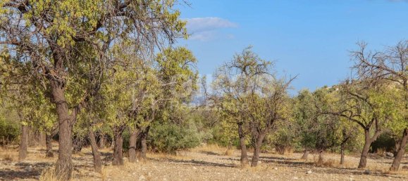 Terreno en Avola, Italy 400 m² No. 156533 11