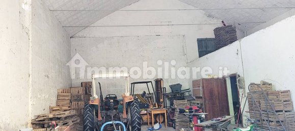 Terreno en Minerbio, Italy 57089 m² No. 174848 37