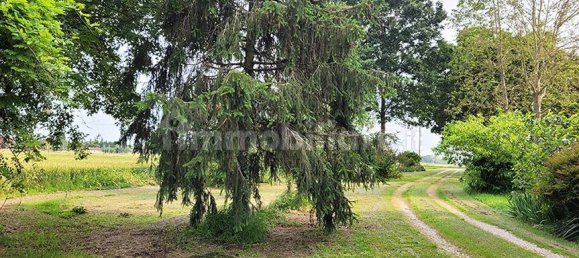 Terreno en Minerbio, Italy 57089 m² No. 174848 2