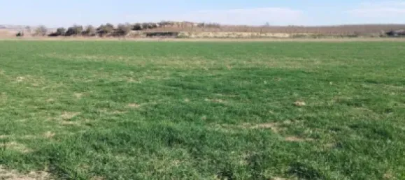 Grundstück in Lleida, Spain, Nr. 144330 2