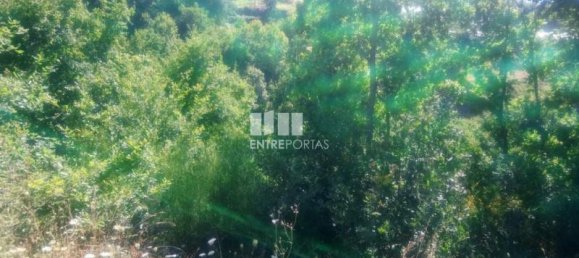 Grundstück in Soalhaes, Portugal 8713m², Nr. 57416 3