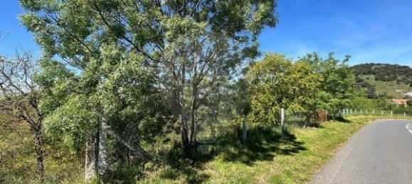 Casa de 3 dormitorios en Sezulfe, Portugal No. 40563 33