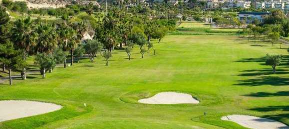 3 chambres Villa à Ciudad Quesada, Spain No. 16604 7