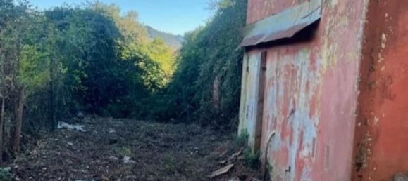 4غرفة منزل في Sarzana, Italy رقم 263413 5