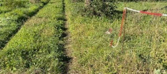 4غرفة منزل في Sarzana, Italy رقم 263413 2