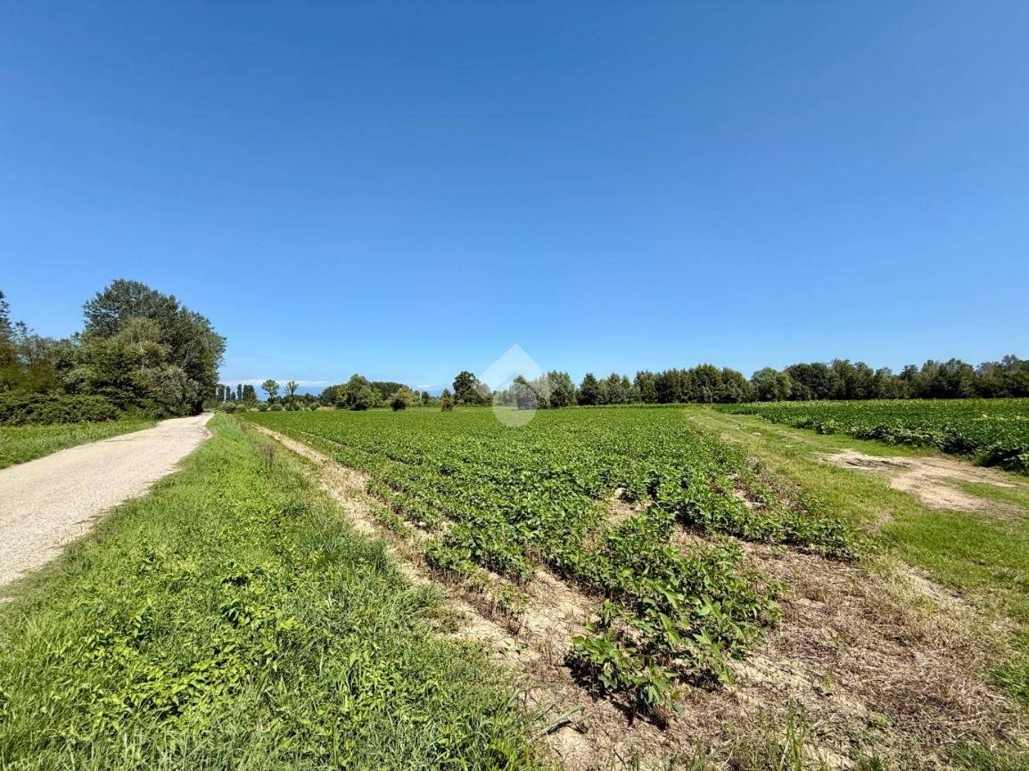 Studio in Pordenone, Italy, Nr. 290946