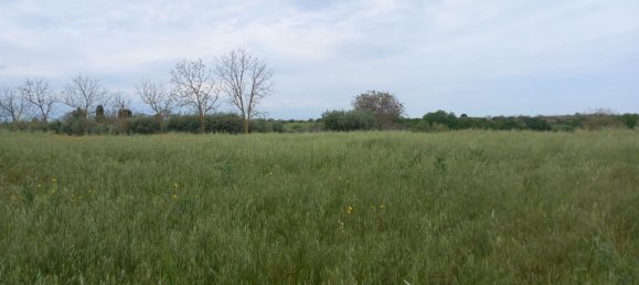 Земельный участок 16000м² в Ортона, Италия № 93939 5